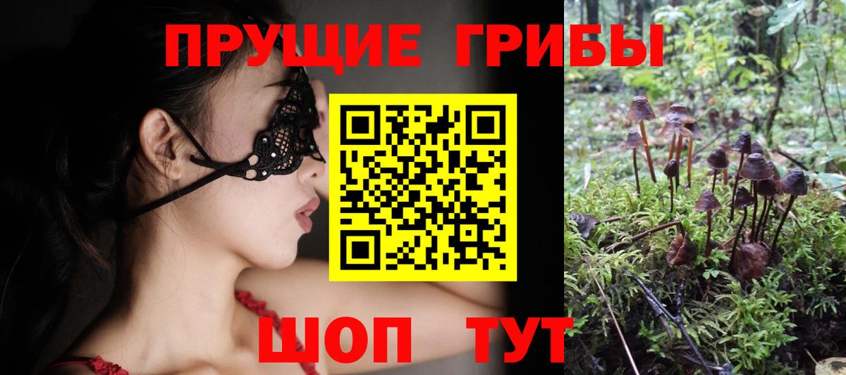 Псилоцибиновые грибы Psilocybe  Вход с VPN  Нефтекамск 